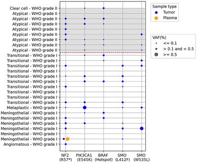 Liquid biopsy evaluation of circulating tumor DNA, miRNAs, and cytokines in meningioma patients